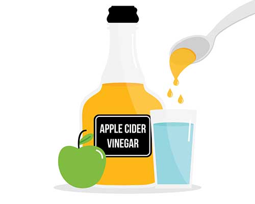 Best Apple Cider Vinegar